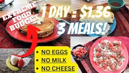 Extreme Food Budget Challenge Eat for a $1 36 a Day🥕🥙