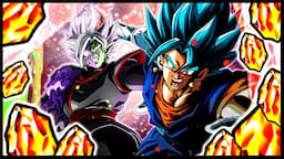 I GOT SAVED BY THE TIME MACHINE ANIMATION!?? VEGITO BLUE & ZAMASU LR SUMMONS! | DBZ Dokkan Battle