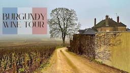 Burgundy France Wine Tour | Best Pinot Noir & Chardonnay In The World!!