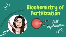 Biochemistry of Fertilization | M.Sc B.Sc Zoology | Gamete Biology |CSIR NET Life sciences|Maryam