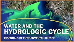 The Water Cycle and Water Pollution | Essentials of Environmental Science