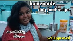 homemade dog food recipe - 3 || easy & healthy dog food recipe || Keerthi puppy vlogs telugu