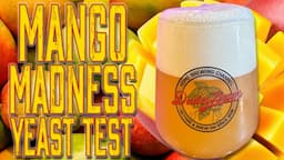 WHC Mango Madness Yeast Test and Review with NEIPA Recipe!