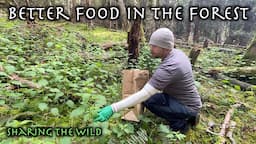 Foraging For Wild Edibles & Making A Big Haul Of Stinging Nettles - A Very Cool Plant