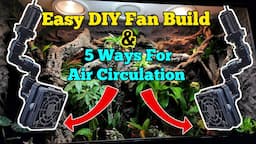 Top 5 Vivarium Paludarium Air Circulation Tips. DIY How To Make A Fan With A Mistking Nozzle.