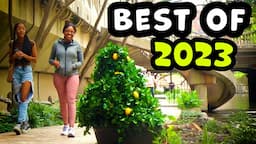 Ultimate Best of Bushman Prank Compilation 2023!!