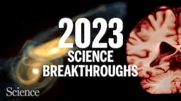 The biggest science breakthroughs in 2023