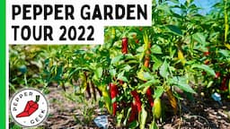 Pepper Geek Garden Tour 2022!