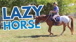 HOW TO RIDE A LAZY HORSE