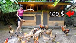 START to FINISH - build a small house for chickens and ducks - ana bushcraft