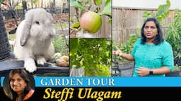 Home Garden Tour in Tamil | Steffi's Garden 2023 | Steffi Ulagam