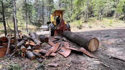 How to Turn a Tractor Into a Logging Machine, Skidder and Loader with Farmi 501 Winch and Log Forks.