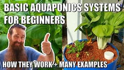 Basic Aquaponics Systems for Beginners | How they Work & Design Ideas