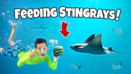 WE SWIM with STINGRAYS and SHARKS!? Kids Myrtle Beach adventure