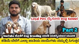 Loyal Pets mysore dog kennel | ಕಡಿಮೆ ಬೆಲೆಗೆ ಎಲ್ಲಾ ಜಾತಿಯ ನಾಯಿಗಳು ನಮ್ಮಲ್ಲಿ ಸಿಗುತ್ತದೆ | dog kennel