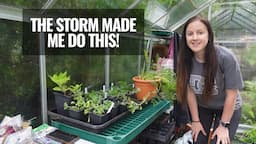 Cleaning Out The Greenhouse