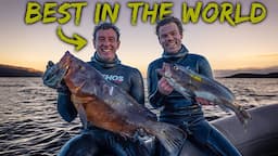 This could save your life! What I learned from Giacomo De Mola, spearfishing World Champion.