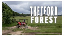 My backyard | Thetford Forest Trail riding