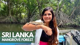 Bentota River Safari | Sri Lanka's Mangrove Forest | Travel Vlog | MY FAV COUNTRY