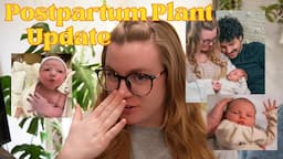 All My Houseplants Left After Having Our Baby | Postpartum Plant Collection & Update