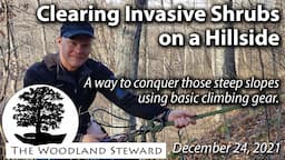 Clearing Invasive Shrubs on a Steep Slope with Basic Climbing Equipment - Dec. 24, 2021