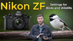 Nikon ZF - Settings for Wildlife and Bird Photography