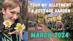 TOUR MY COTTAGE GARDEN AND ALLOTMENT IN MARCH 2024