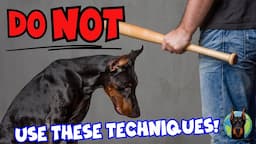 The Darkside of Doberman Training: Cruel Techniques Revealed