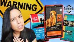 The 4 TOP Dog Foods to AVOID?! 😳 Purina, Orijen, Victor and Diamond