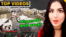 Most Epic Gaming Moments | SSSniperWolf