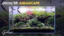 Step by Step Tutorial AQUASCAPE in 60cm/2ft AQUARIUM