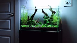 Full Aquascaping System in Depth