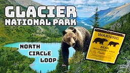 Glacier North Circle Loop - Things get GRIZZLY!!