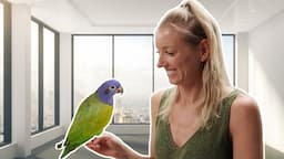 PIONUS PARROTS 101 | Training a Pionus Parrot