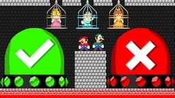 Can Mario and Luigi Co-Op Press the Ultimate True and False Switch Rescue All Princess?