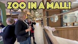 Animals in a Mall? Yes, in Maplewood, Minnesota!