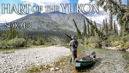 Hart of the Yukon - 14 Days Solo Camping in the Yukon Wilderness - E.3 - the Adventure Amps Up!