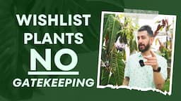 🌺8 Ultimate Tips to Find Wishlist Plants Easily!🔍