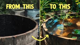 How to create a barrel pond for wildlife | WWT