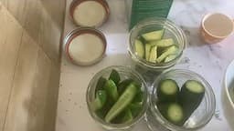 The Goofy Blonde Chef Presents: Refrigerator Dill Pickles