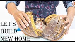 Rescue Hamster From Coconut to Build Hamster Maze Mini Brick House And Turtle Pond