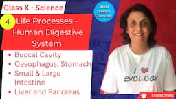 Class X Science | Life Processes - Human Digestive System | Neela Bakore Tutorials