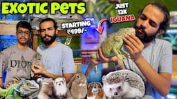 Meet Ludhiana's Most Unique Exotic Pets In This Shop!😳