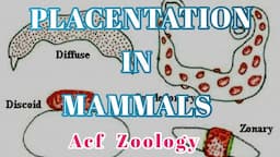 PLACENTATION IN MAMMALS | Acf Zoology | Zoology Classes | UPSC ZOOLOGY | Bsc Zoology | NEET ZOOLOGY