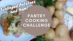 PANTRY COOKING CHALLENGE Saving money by using what I have in the pantry. Cook with me in my RV!