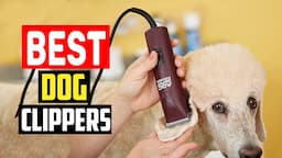 ✅Top 5 Best Dog Clippers of 2023 (For Every Type of Dog)