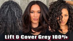 Lift and Cover Grey Hair 100% / Ni and NB Guy Tang series