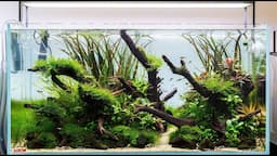 Aquascape Build Step by Step - Nature Aquarium Tutorial in an Eheim Clearscape 200 (90x50x45cm)