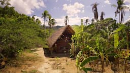 This Man Built A House In A Remote Island To Live With Nature And Animals | Palawan, Phillipines