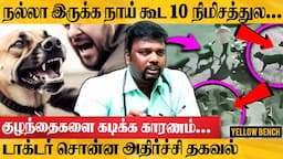 நாய் கடிக்க வந்தா இத பண்ணுங்க.Pet Dogs sudden-ஆ Wildஆக மாறகாரணம்|veterinary Dr Thanigaivel Interview